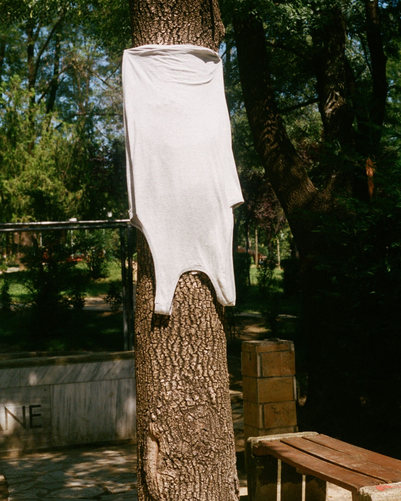 Hazel Gaskin photographs Albania | a white wifebeater hanging upside down to dry against a tree
