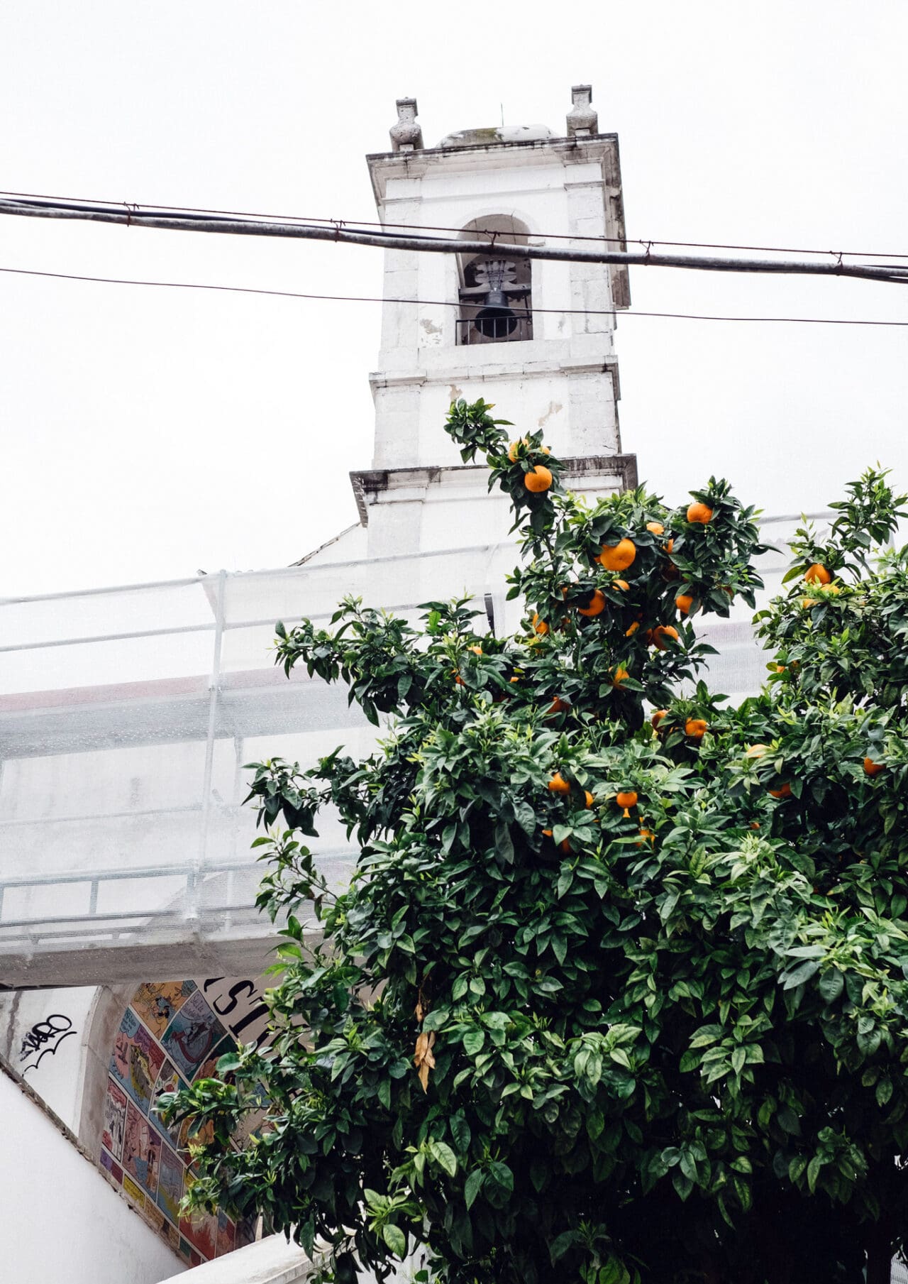 An orange tree against a white building in Lisbon by British photographer Emma Croman