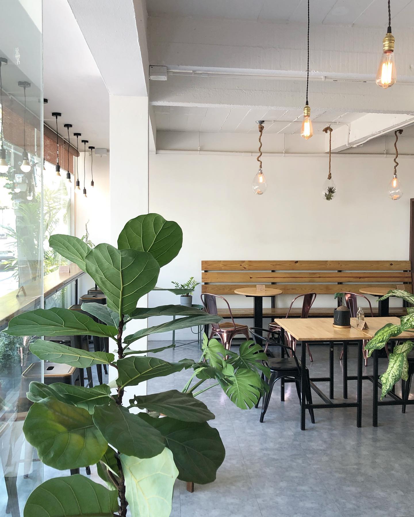 The best co-working cafes in Bangkok | a large plant and desk space at Phil's Coffee