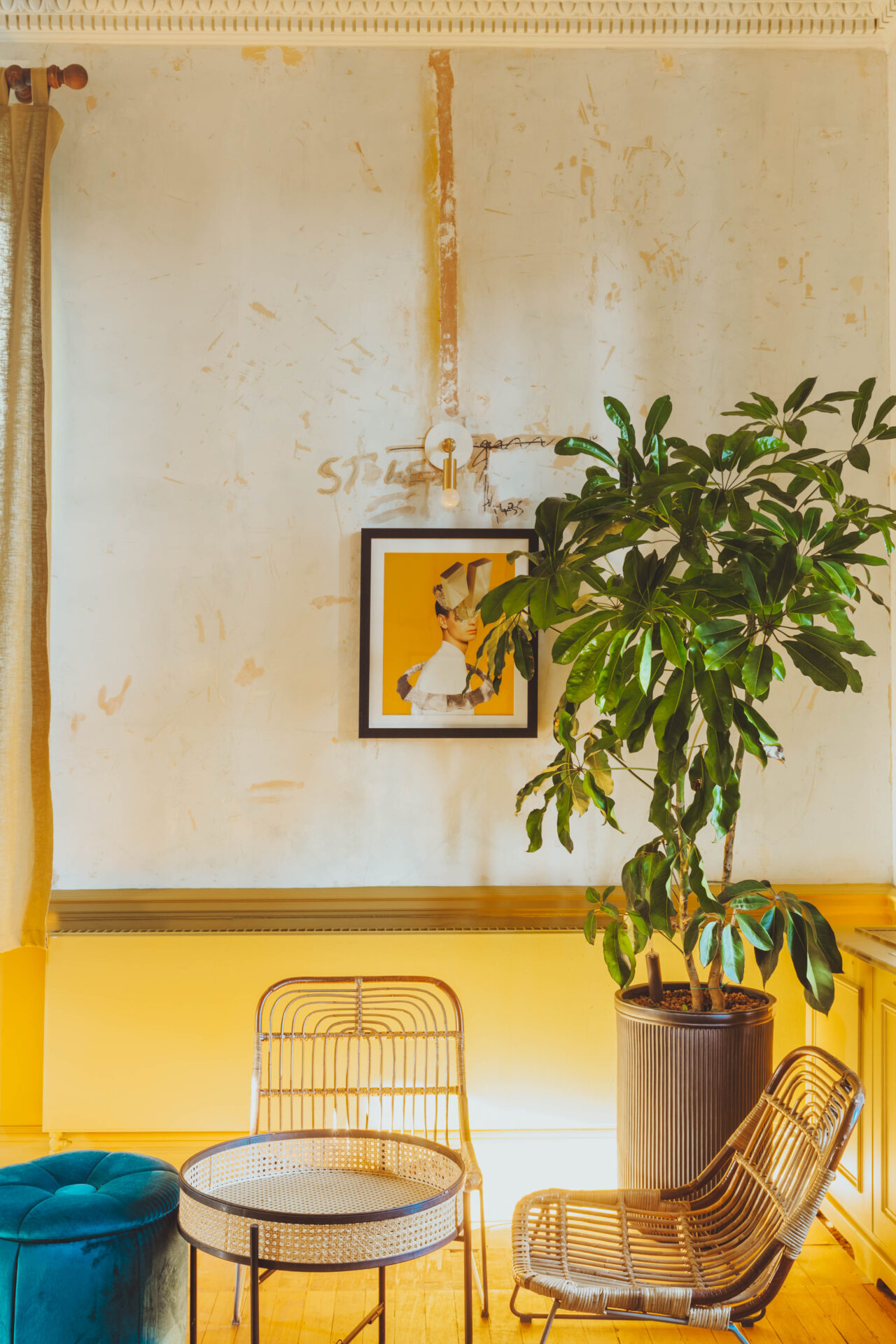 London's best places to co-work | wooden chairs and a lush plant stand in front of a yellow wall in a sunny room at Birch Community