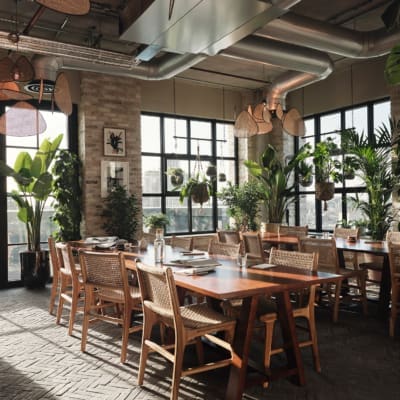 The best places for remote working in London | The winter garden at Hoxton Southwark's co-working space