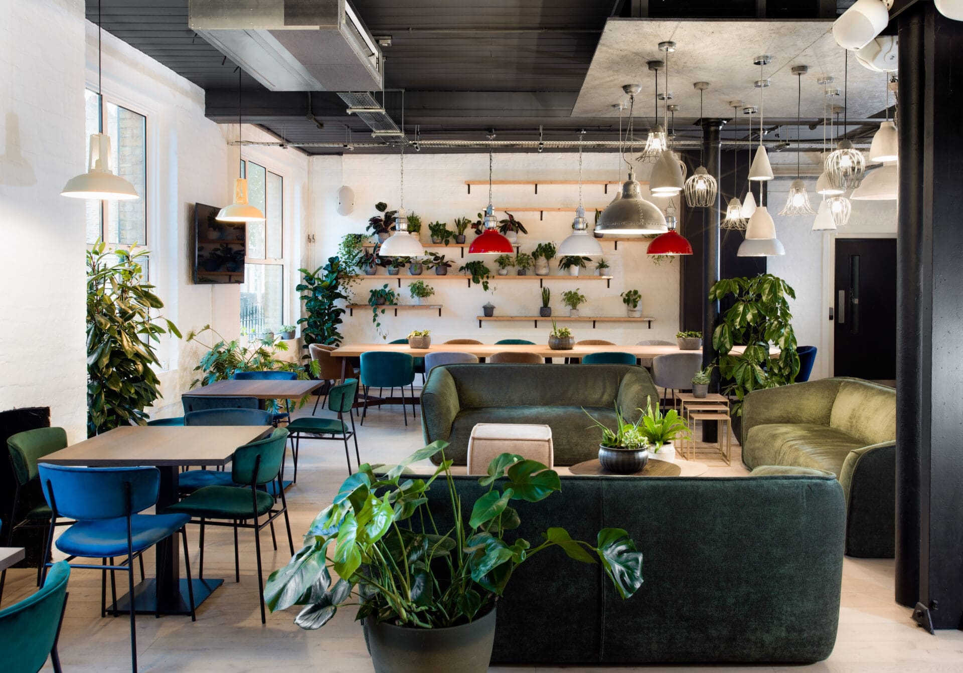 The best workspaces in London | Uncommon Highbury's plant-filled, light interiors