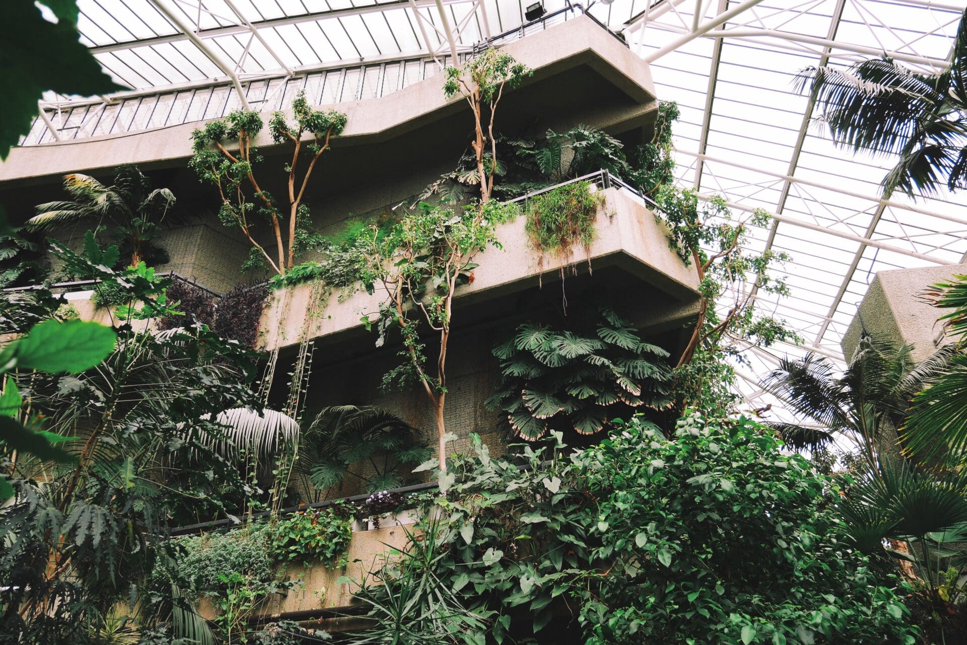 Best museums and galleries in London | Inside the Barbican Conservatory.