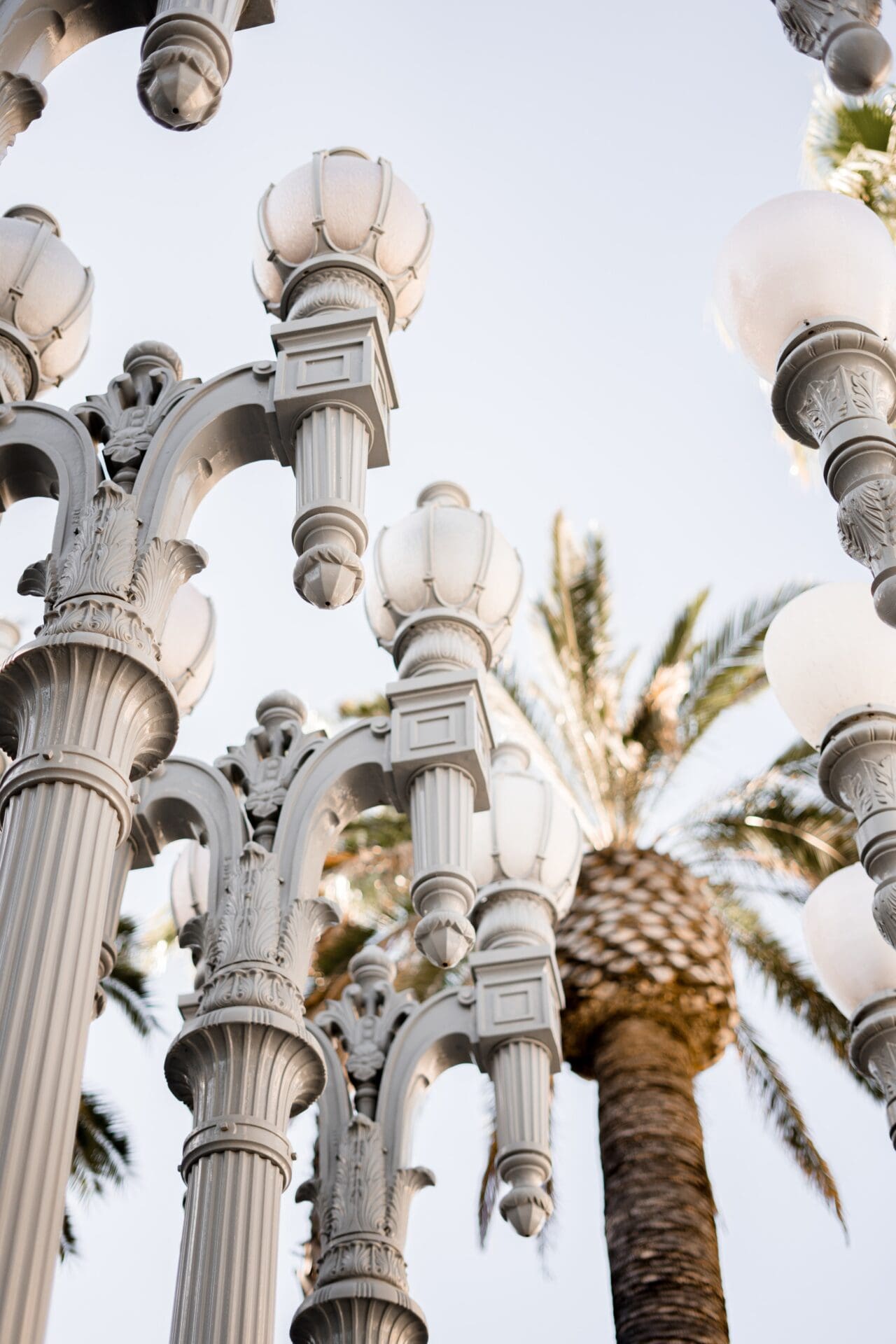 Best museums and galleries in London | A view of the restored street lamps at LACMA, with a palm tree in the background
