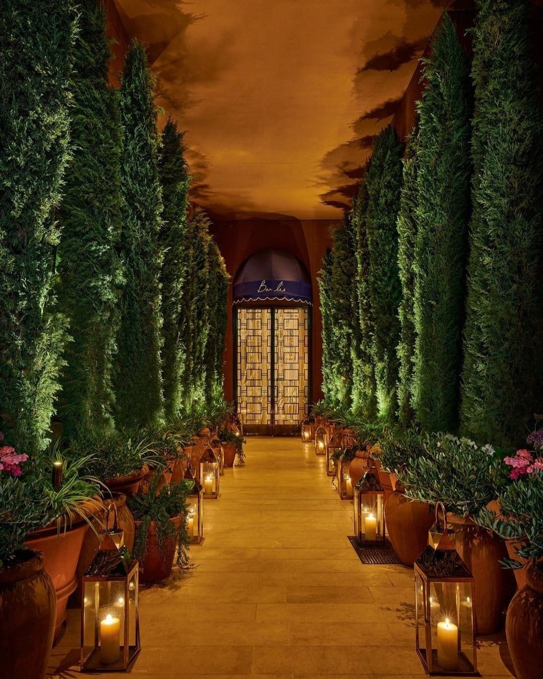 Tree-lined entrance to Bar Lis in Los Angeles