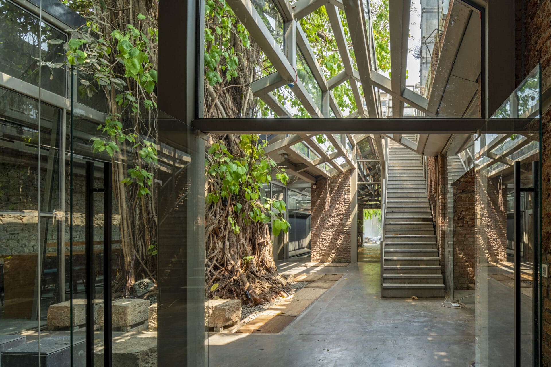 Best art galleries in Mumbai | A view through glass to the banyan tree courtyard at IF.BE art space in Mumbai