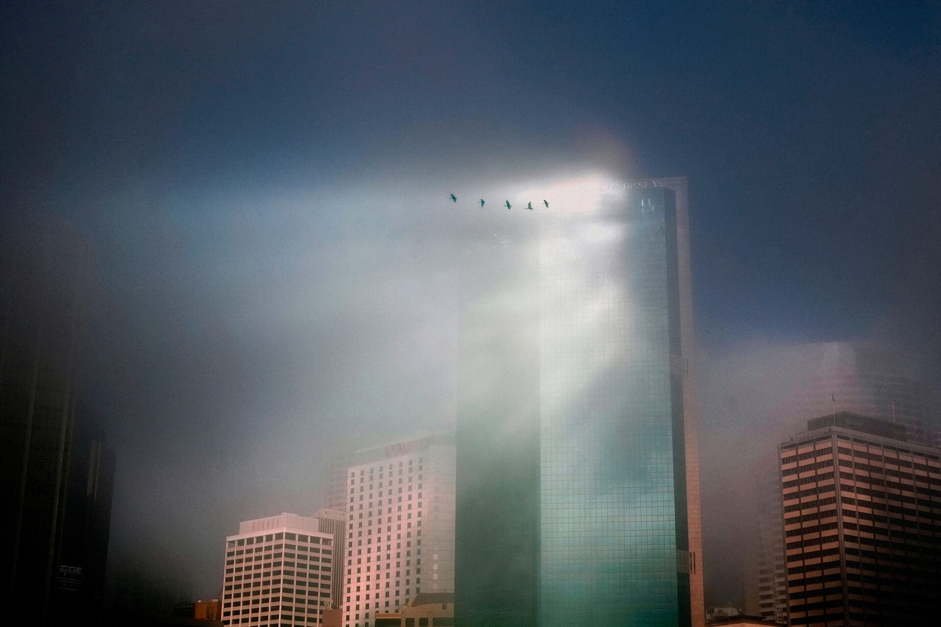 Focal Point: Sam Ferris | A tower reflects the sun in Sydney
