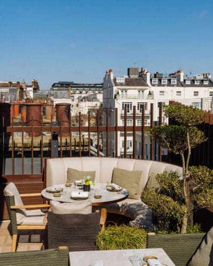 Rooftop dining at Sachi at Pantechnicon