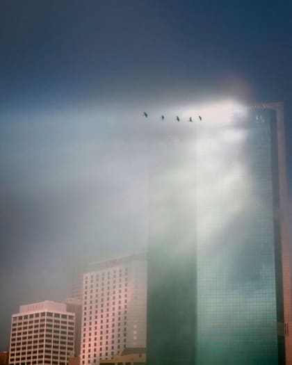 Sam Ferris photography | the sun-drenched Sydney skyline