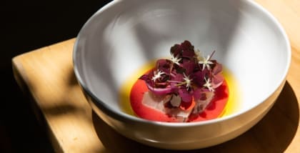 A flower-topped dish bathed in sunlight at Migrante, Mexico City