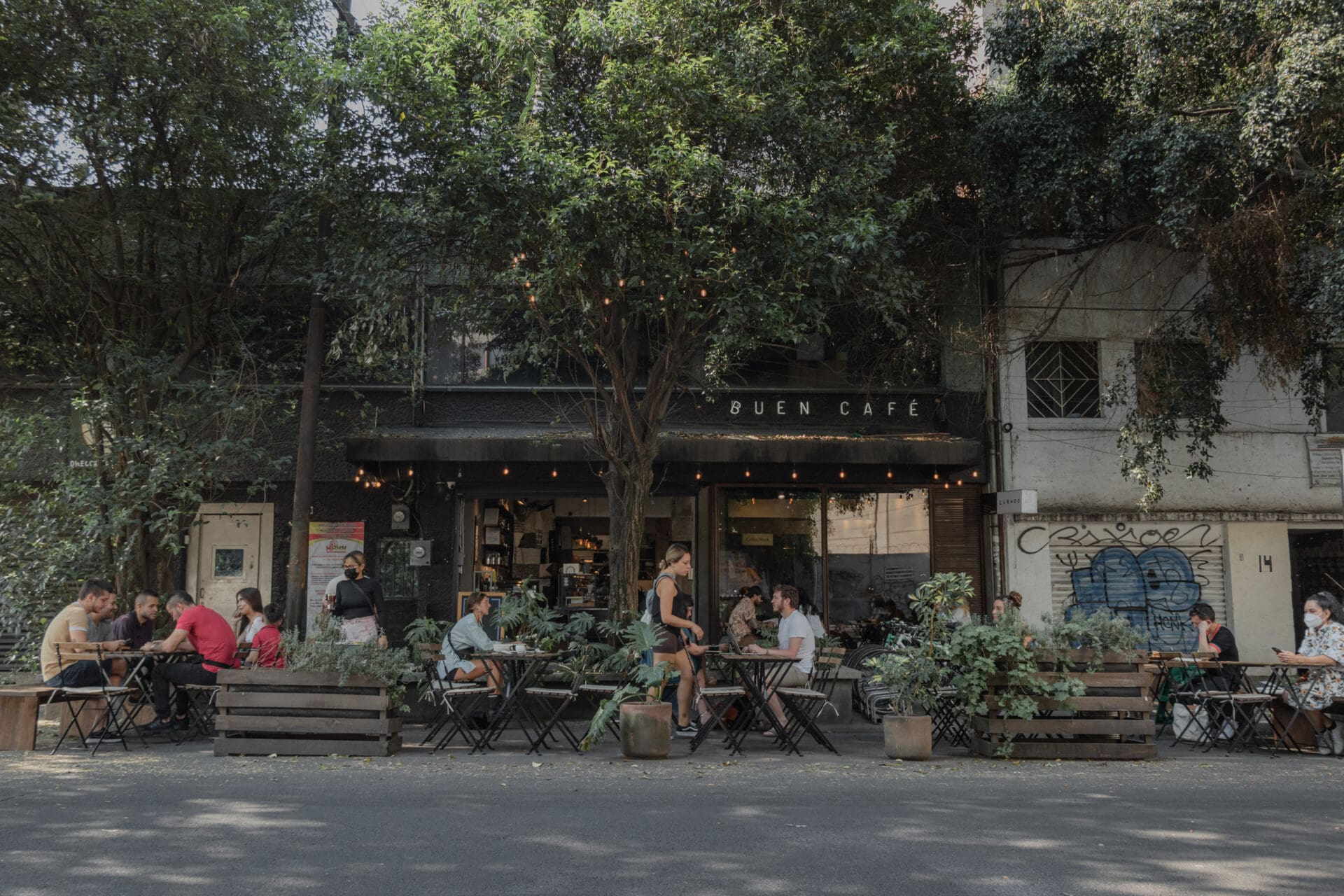 Best spots for co-working Mexico City | Curado has a leafy outdoor area with bench tables