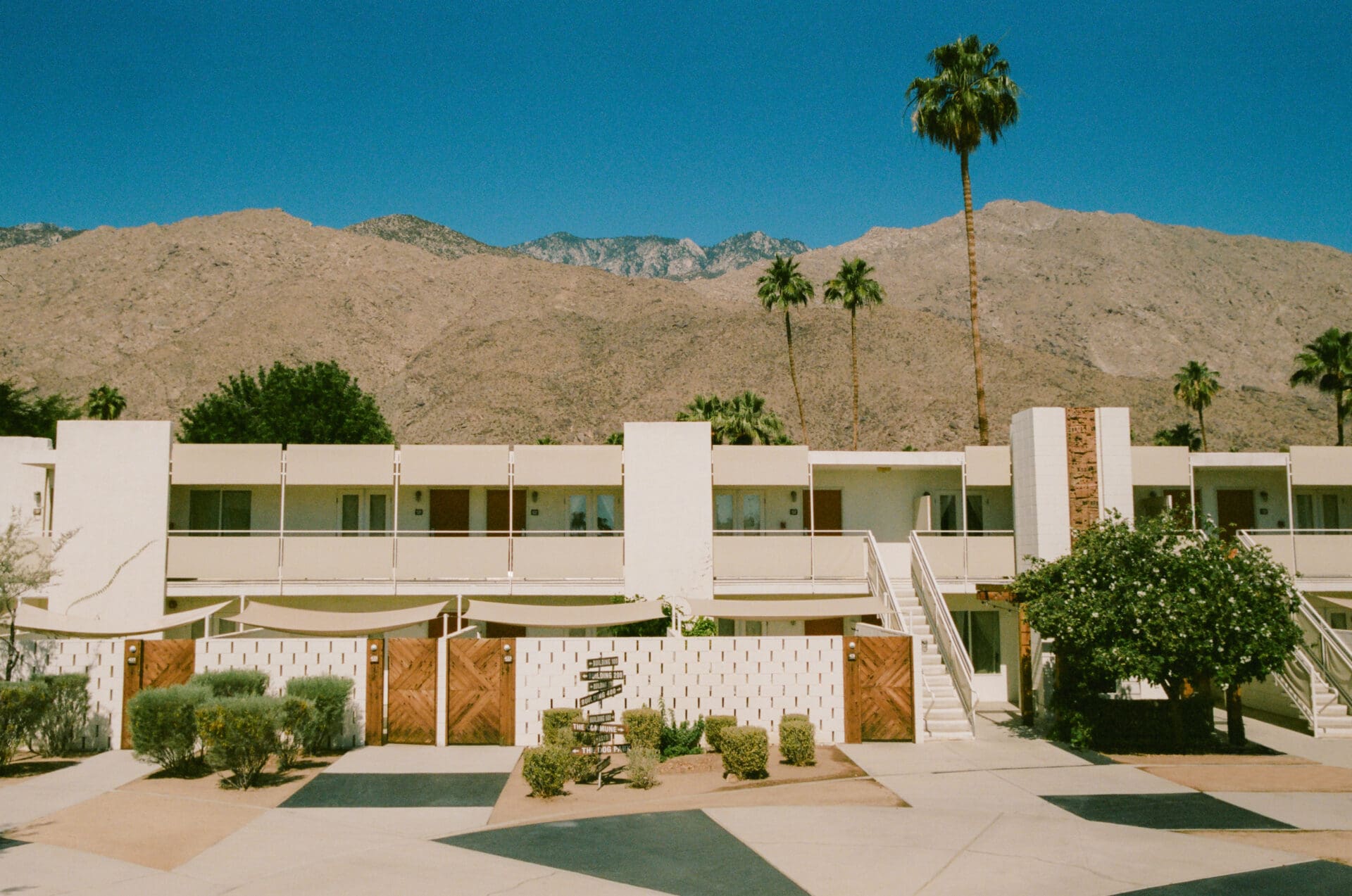 Palm Springs best hotels - Ace Hotel & Swim Club