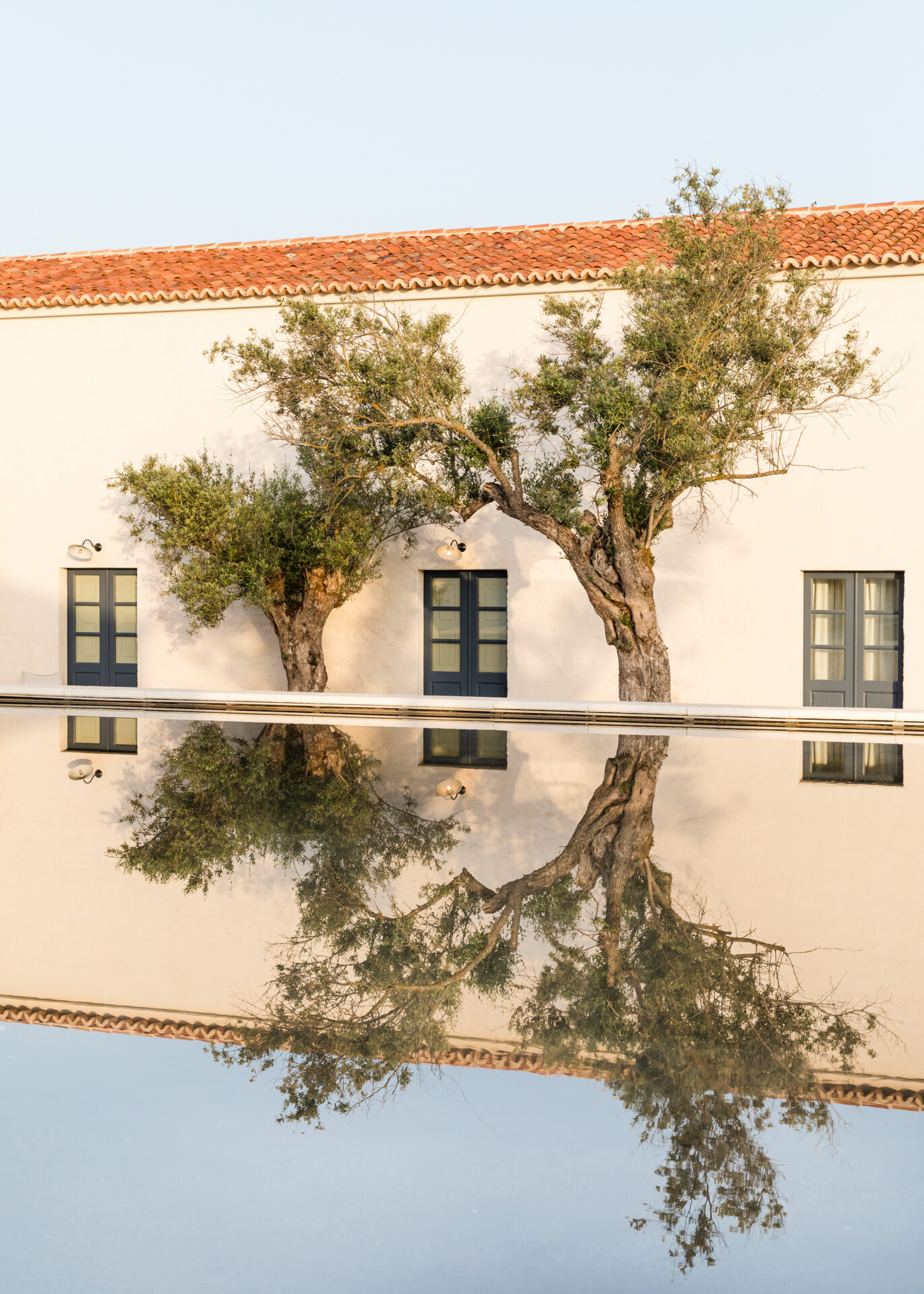 São Lourenço do Barrocal | two trees mirrored by the reflection of the water in Portugal