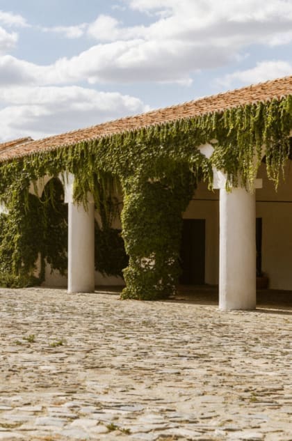 São Lourenço do Barrocal | the old stable buildings still remain, with arches covered in creeping vines bordering the cobbled main road