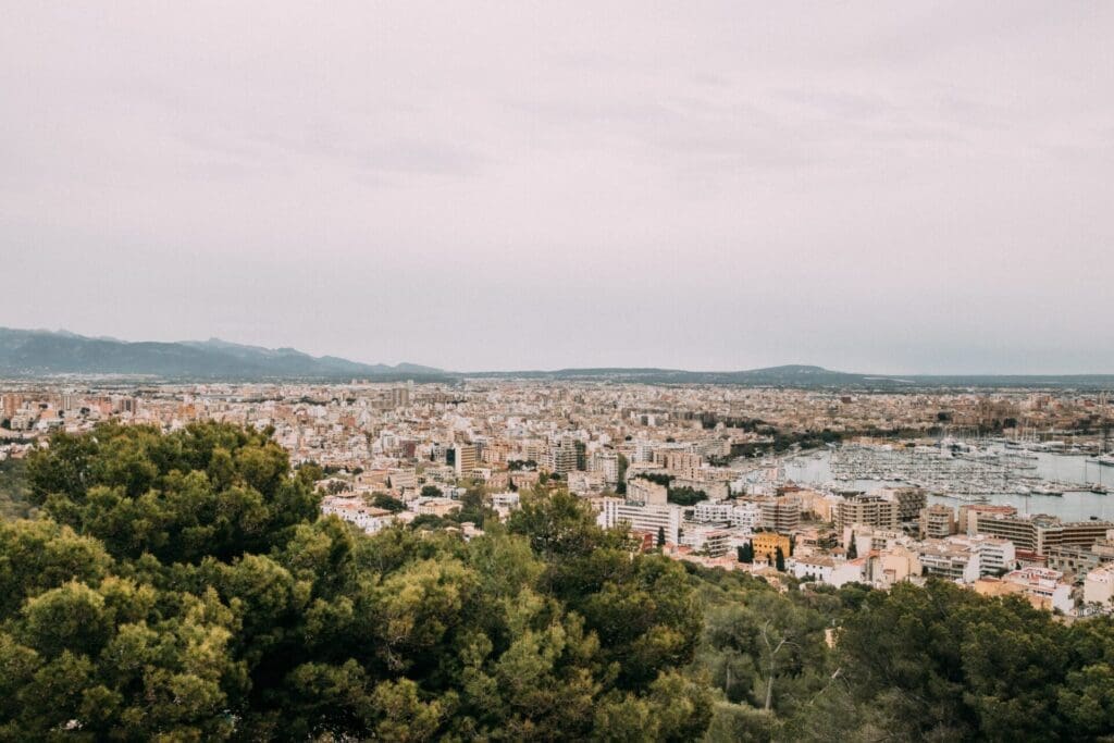 The best European cities for remote working | A view of the rooftops and harbour of Palma, Mallorca, with trees in the foreground.