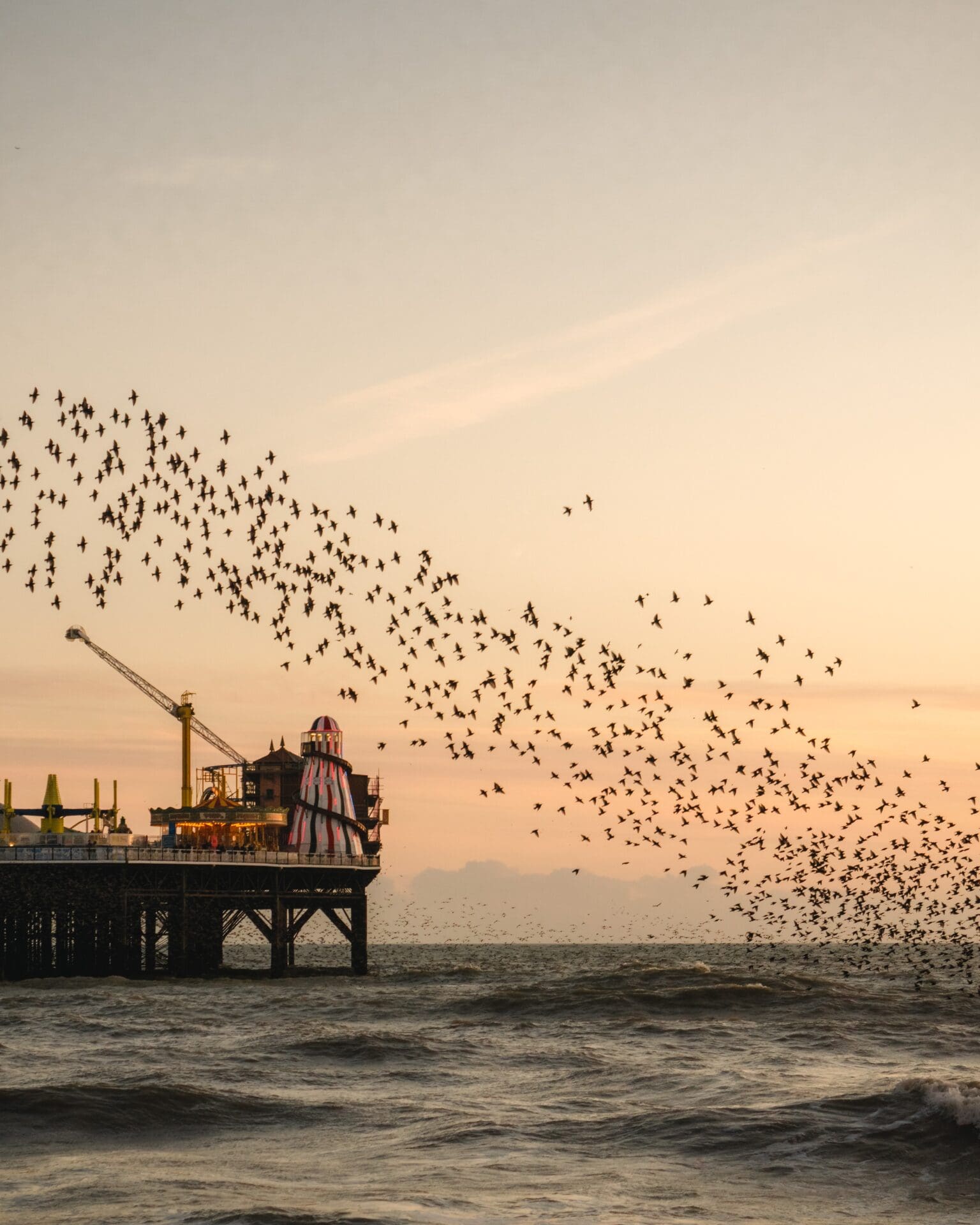 The best things to do in Brighton | a murmuration of starling over Brighton pier. Photo by Rhys Kentish/Unsplash