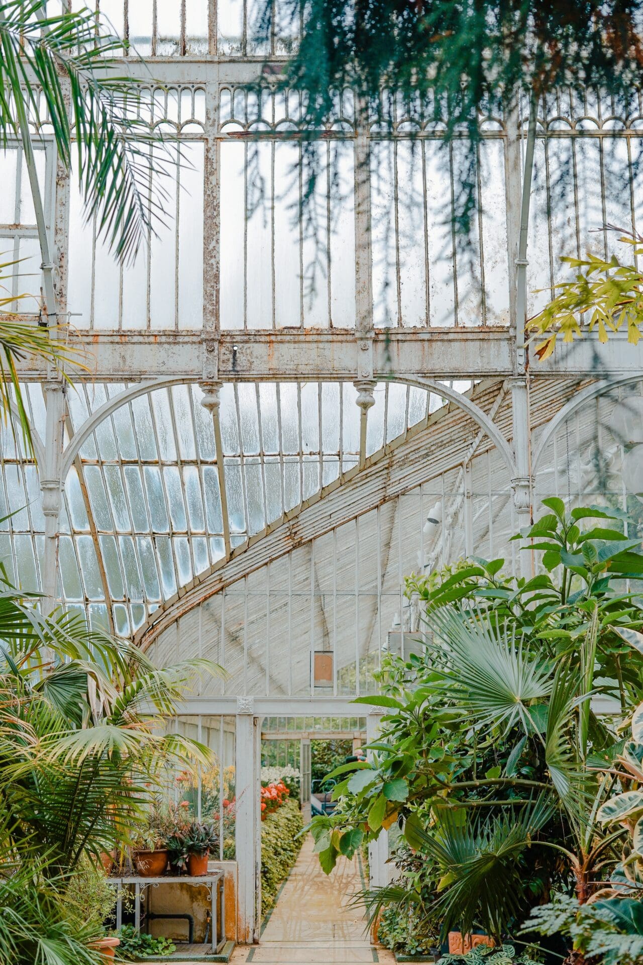 The best European cities for remote working | Inside a greenhouse at Belfast's Botanic Gardens, with white wrought-iron details and dangling plants