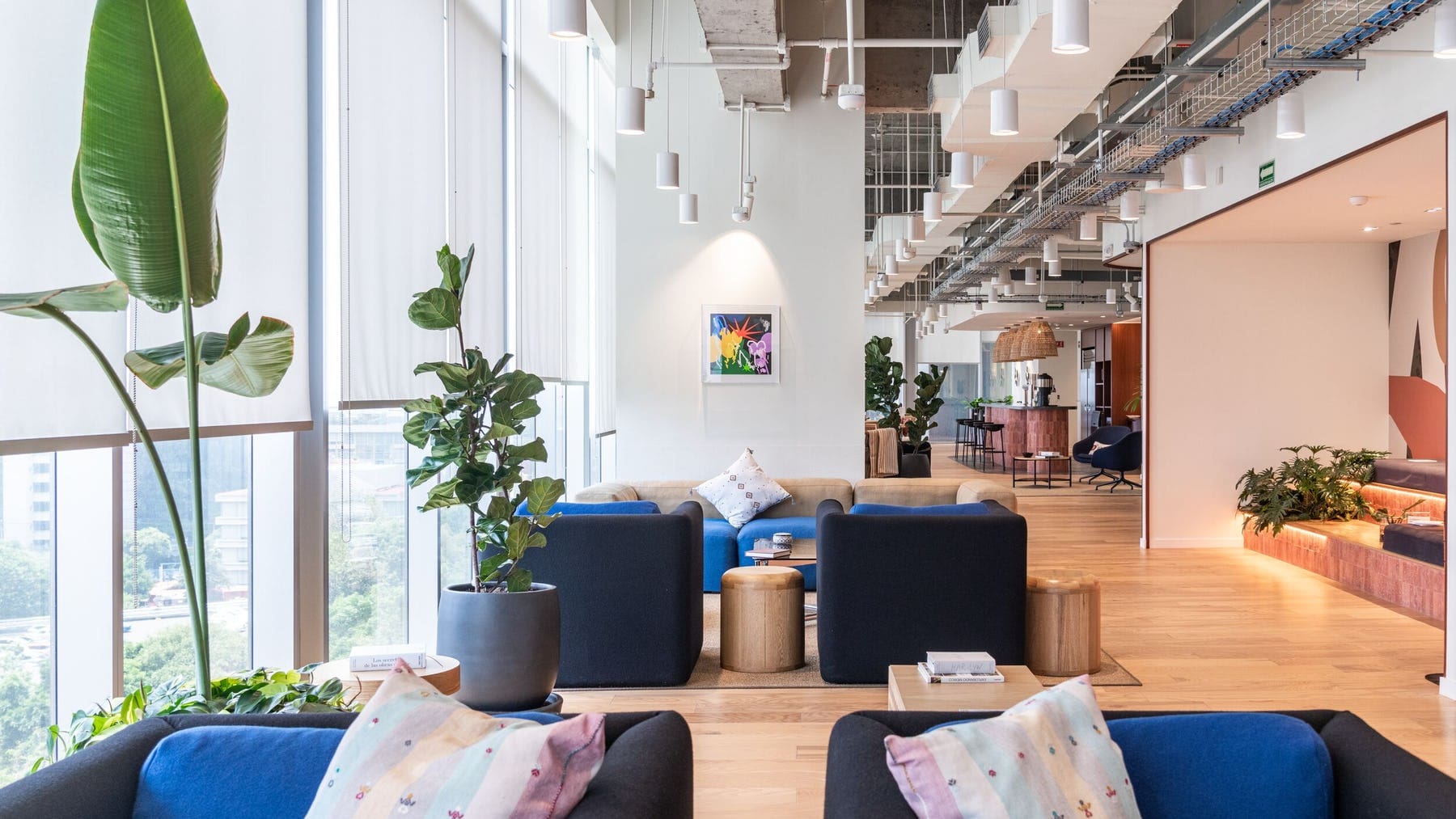 The best places to co-working in Mexico City | A large bright room with wooden floors, white walls and floor to ceiling windows, with blue sofas and plenty of greenery