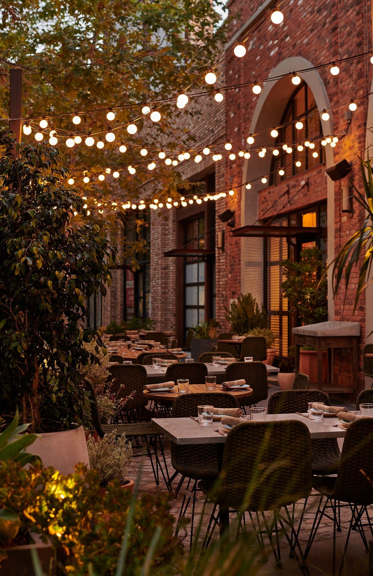 Festoon lights hang outside at The Girl & The Goat in the evening light