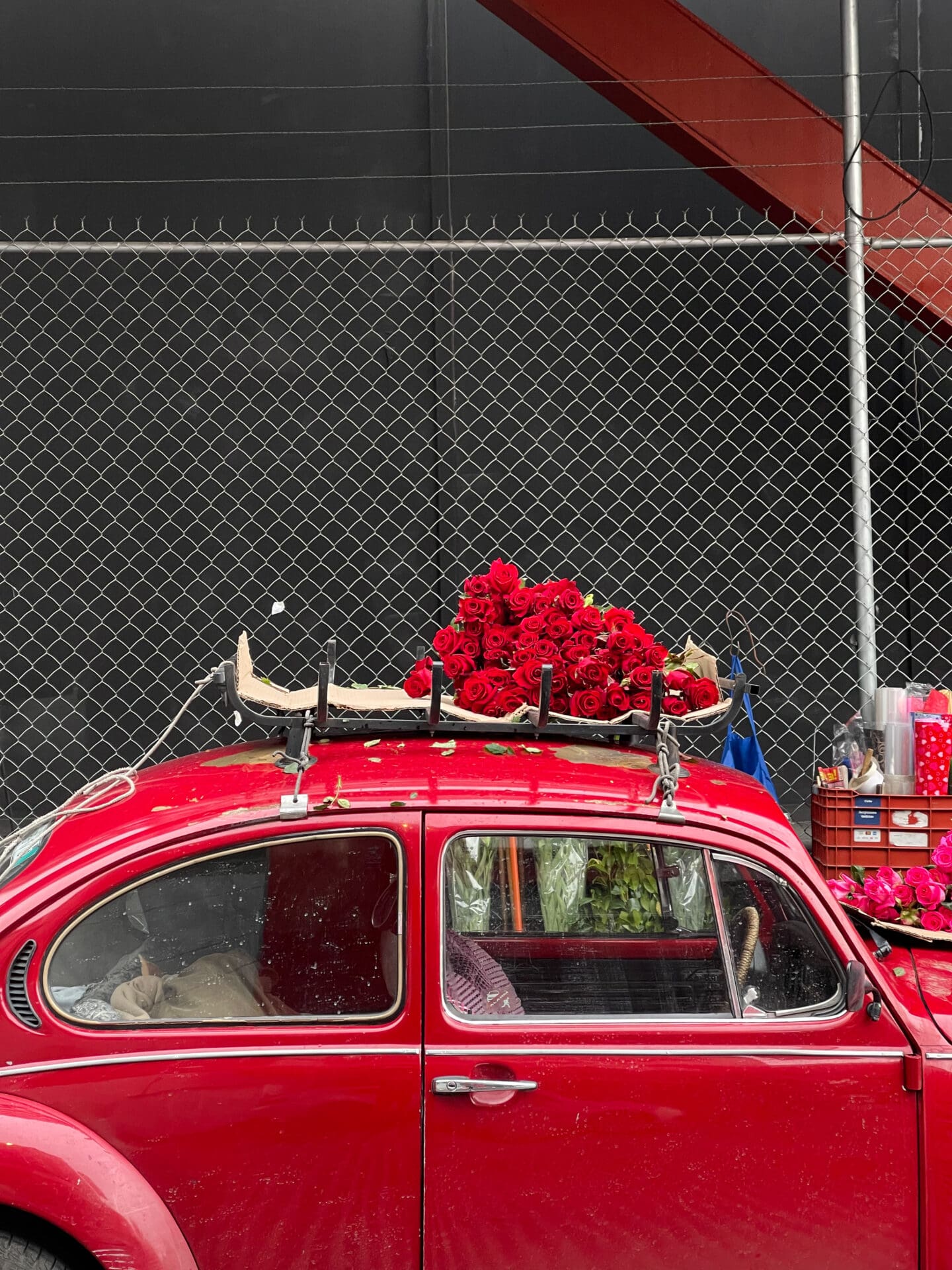 Photographer Manuel Zúñiga on Mexico City | A bright-red classic VW Beetle topped by a bunch of matching red flowers