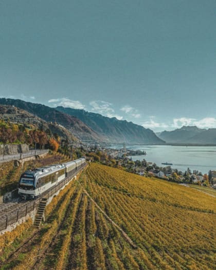 Train travel through Lake Geneva, Switzerland | A train drives by shimmering lakes and golden fields