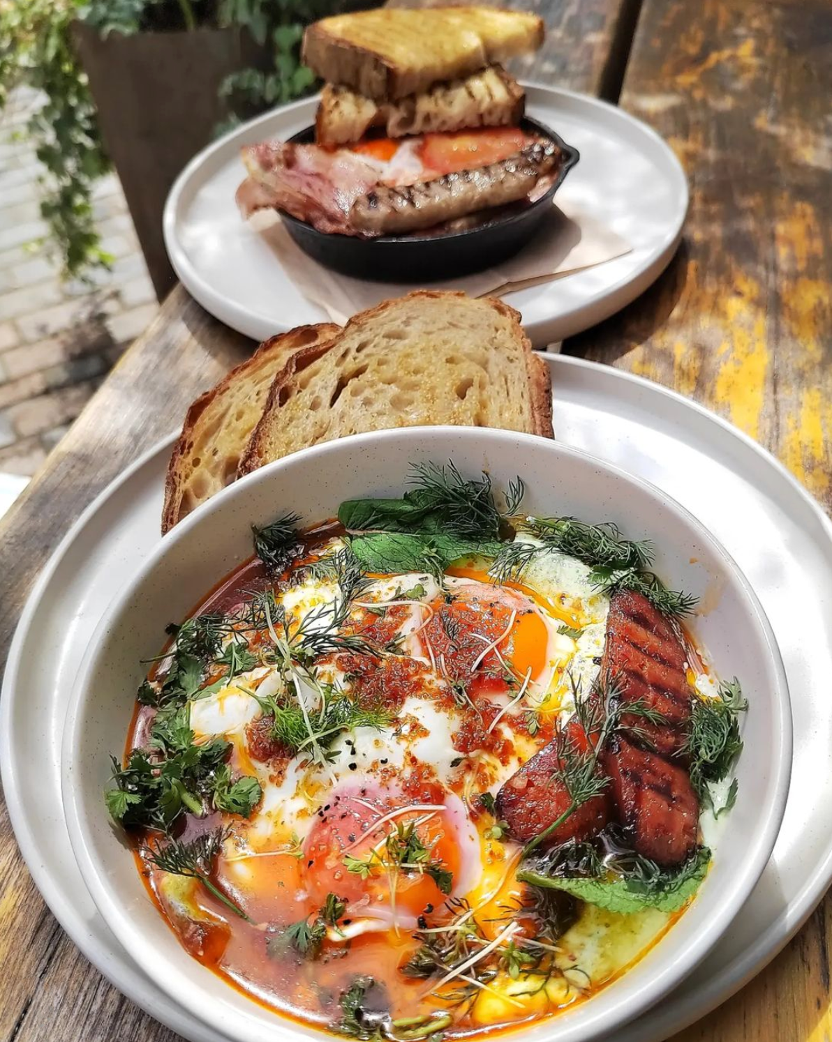 The best coffee shops in London | Brunch at Lomond, including smashed avocado on toast, and shakshuka