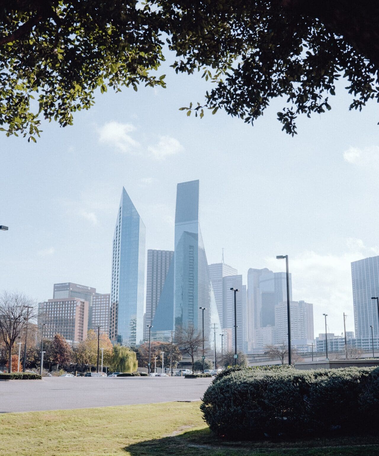 Soaring skyscrapers framed by trees in Dallas, Texas