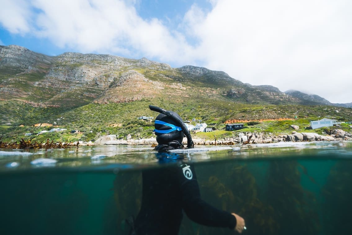 A diver emerges from the water in False Bay, Cape Town