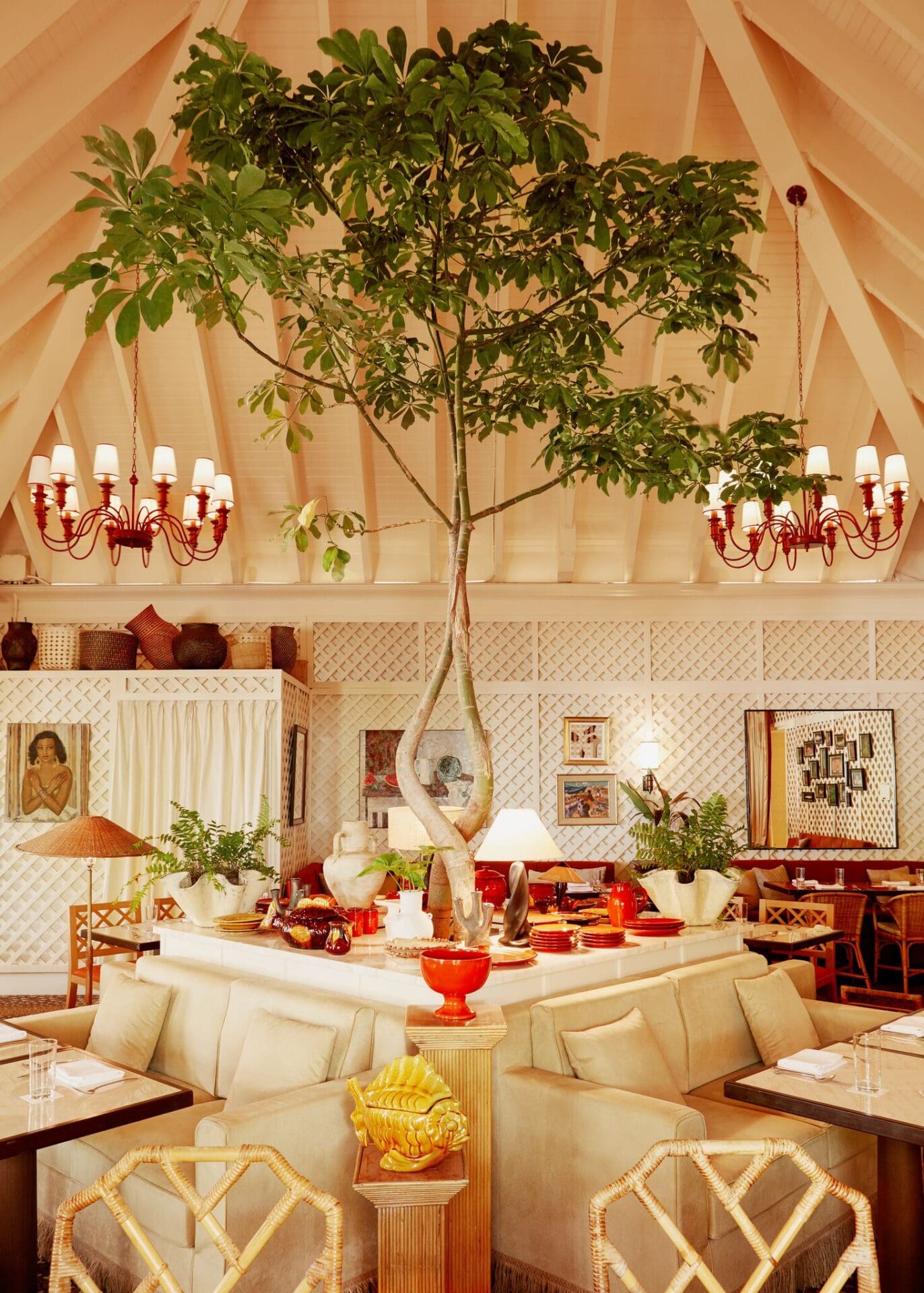 An indoor tree in the dining room of Palm Heights hotel, Grand Cayman