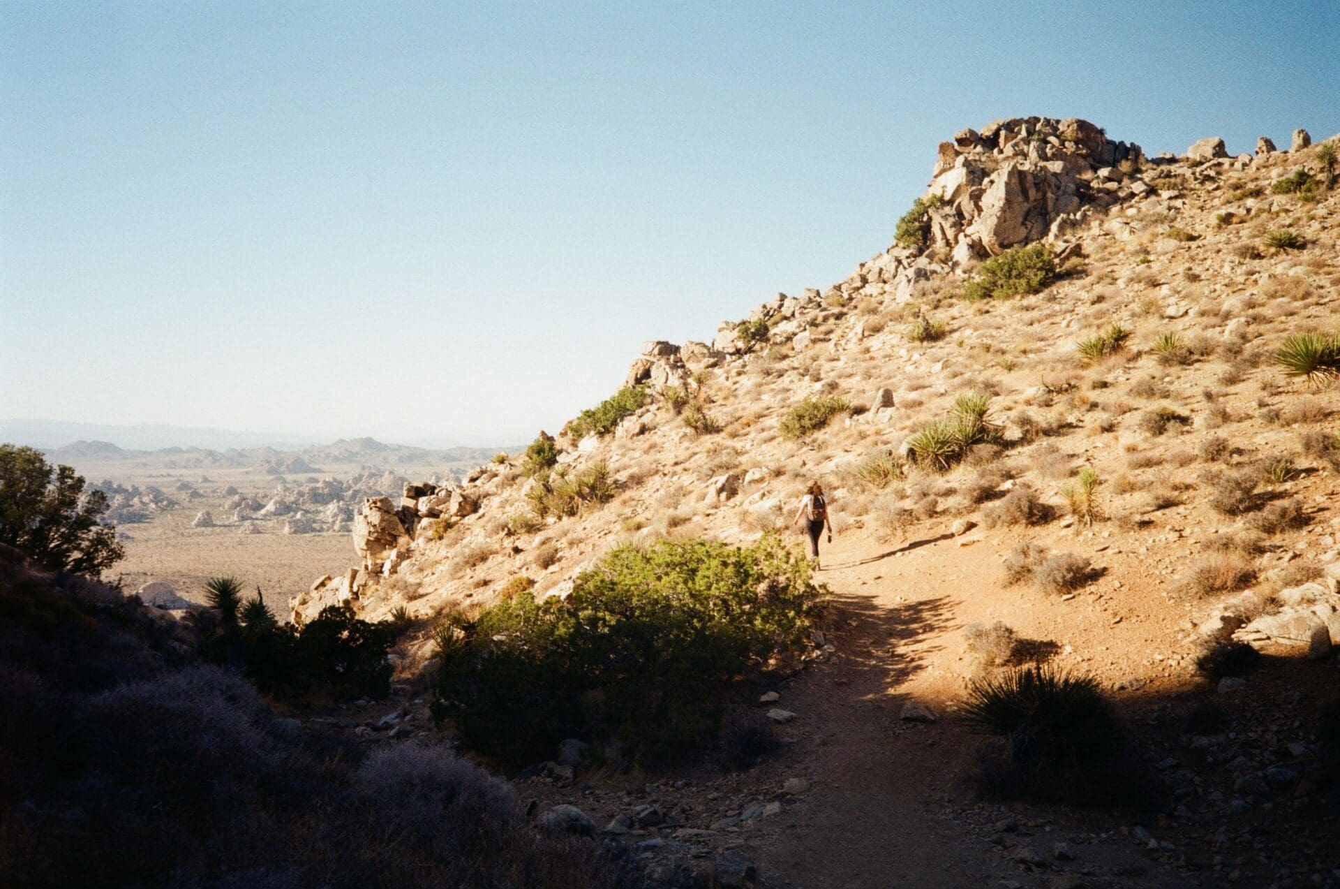 The best things to do in Joshua Tree | rugged desert landscape by Joseph Lee