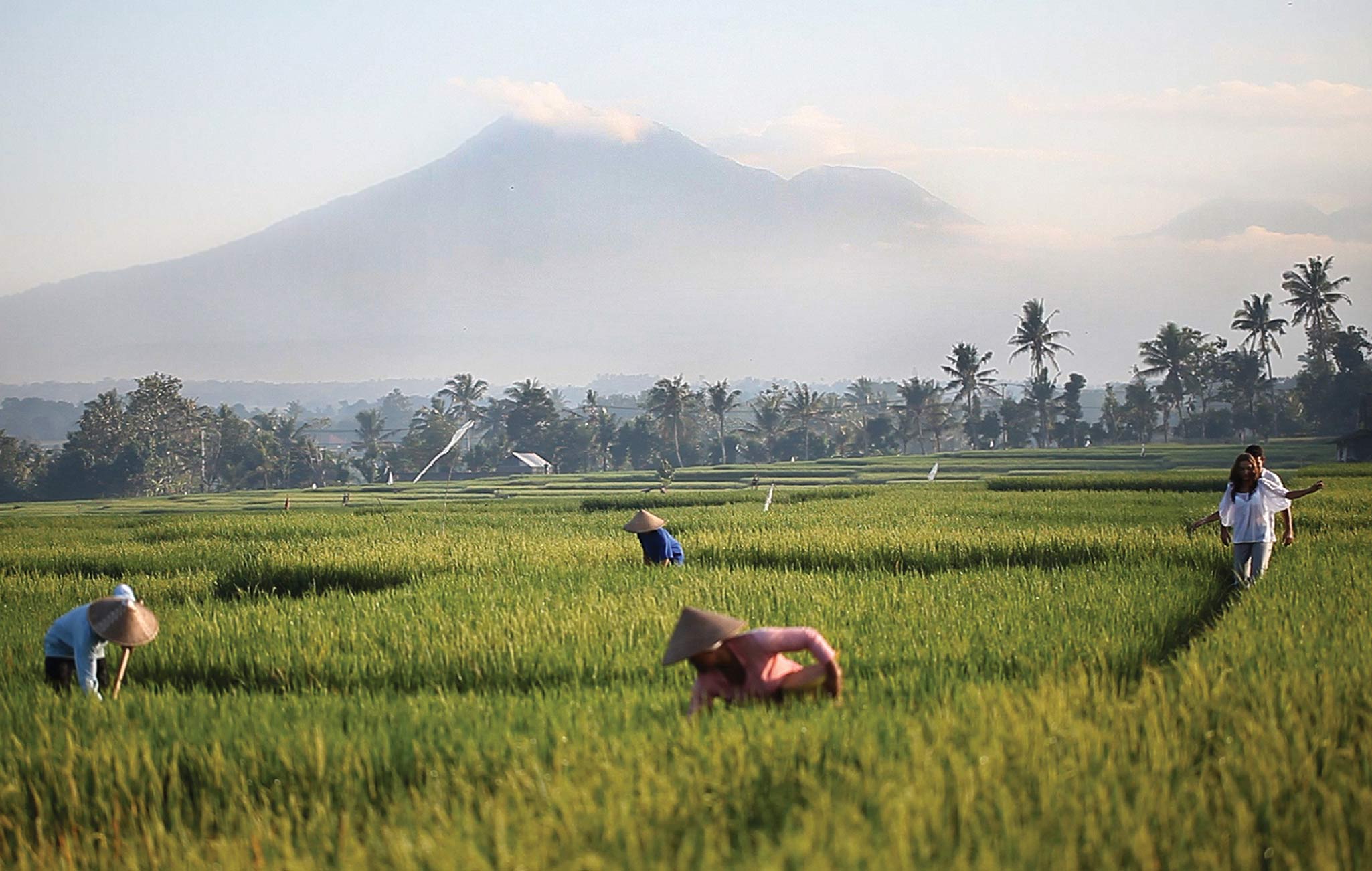 the rice paddies at Soori Bali 