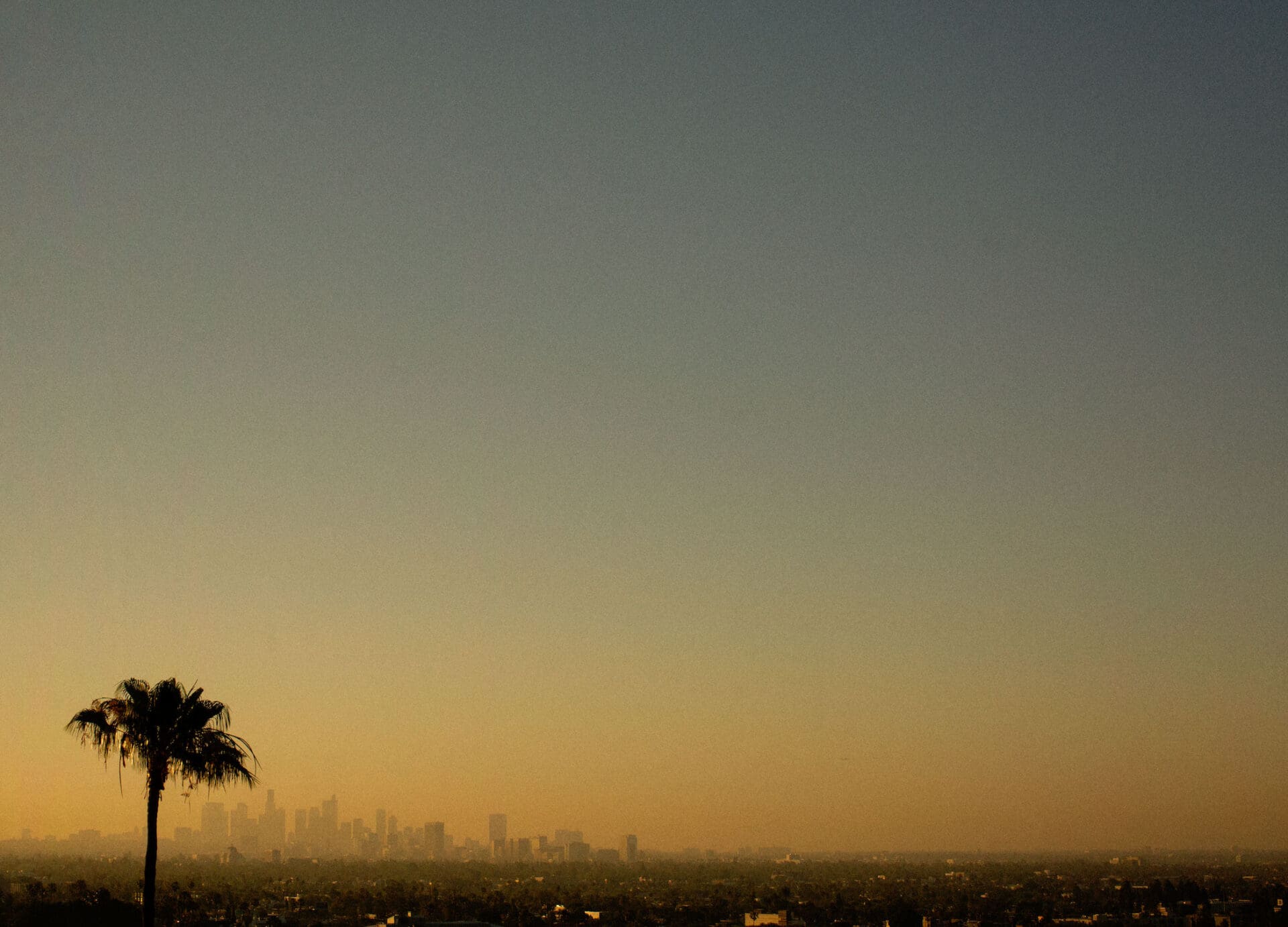 Focal Point, Erik Melvin | A palm tree to the bottom left of the image in the foreground of a cityscape of Los Angeles in the distance, in a yellow sunset haze. Photo by Erik Melvin