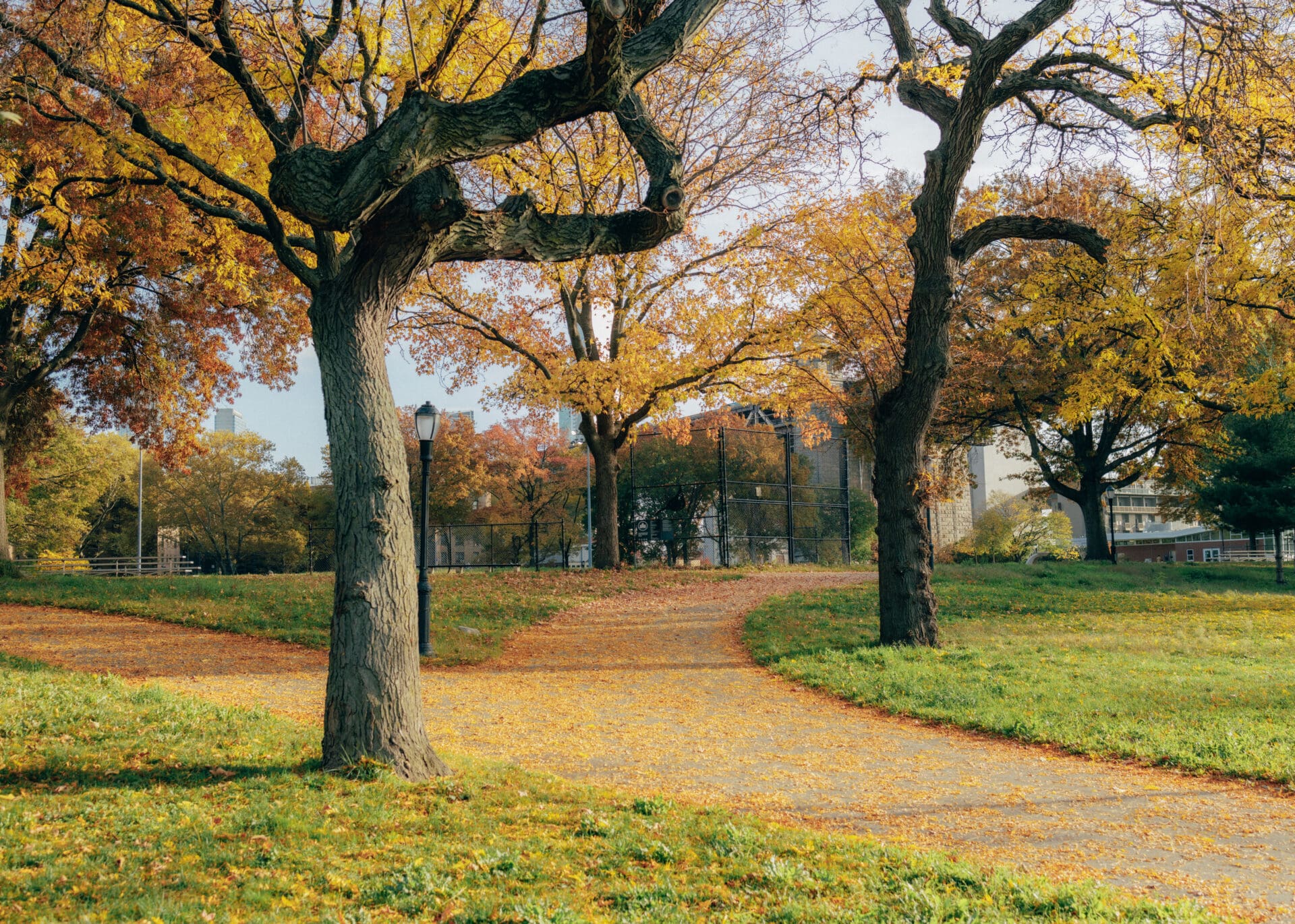 An interview with Haig | Queensbridge Park in fall, New York