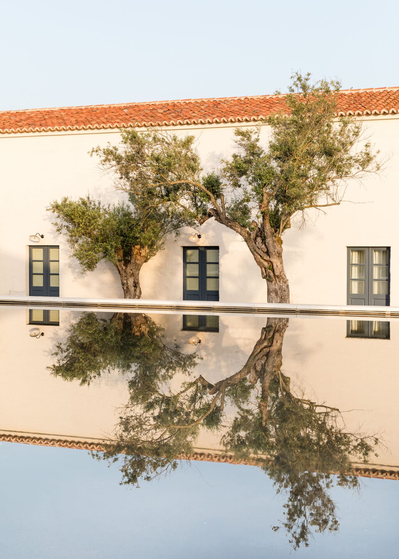 São Lourenço do Barrocal, Portgual | trees mirrored in a reflection