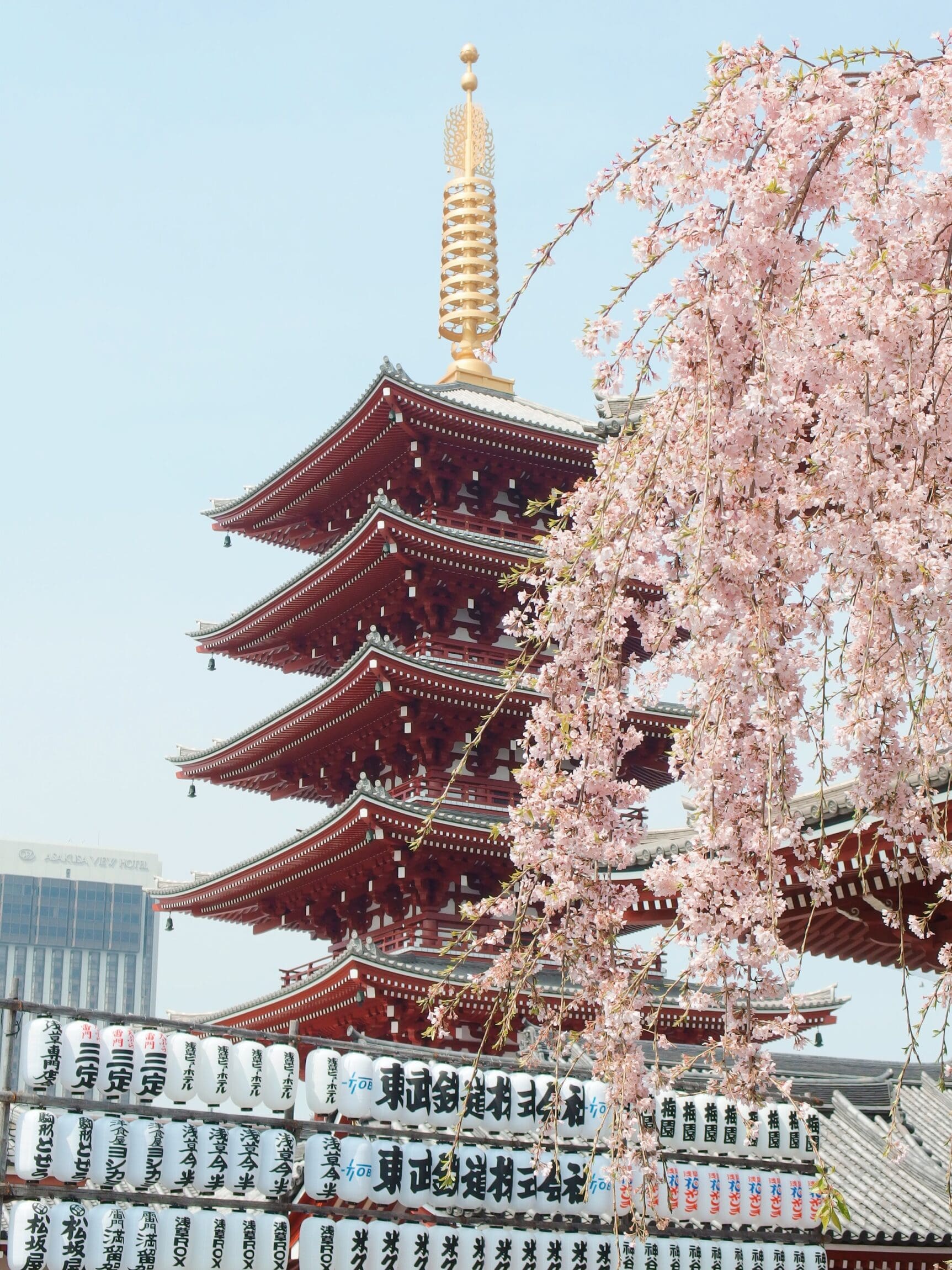 Travel trends 2023 | Cherry Blossom season in Tokyo