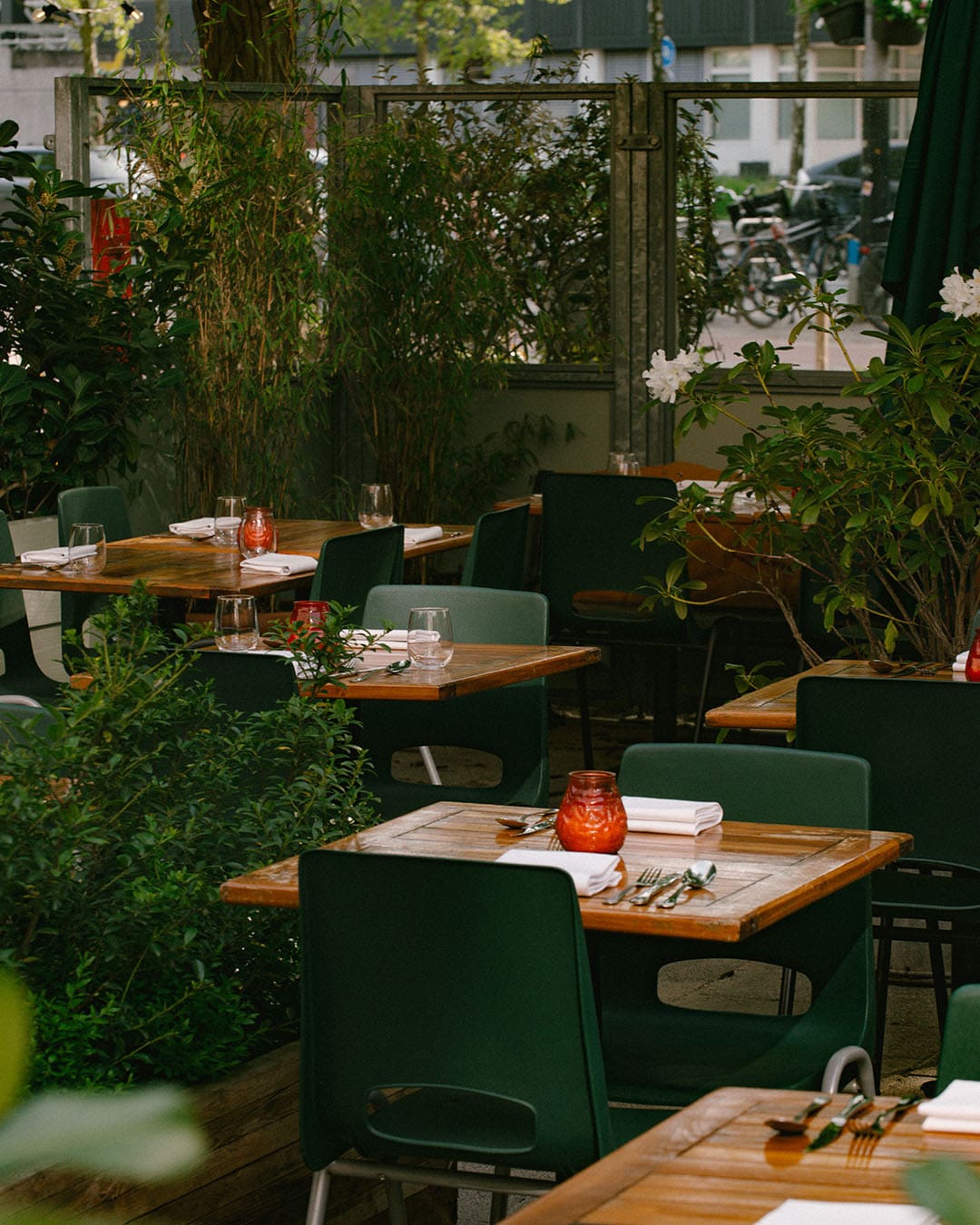 A verdant setting at Alba Restaurant and Wijnbar