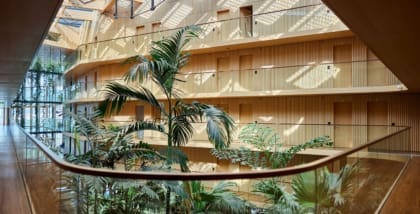 The best hotels in Amsterdam | a plant-filled atrium