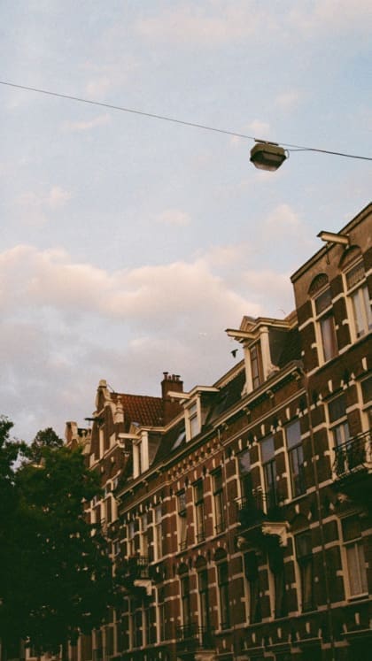 Amsterdam city guide | a traditional streetscape in Amsterdam, flanked by trees