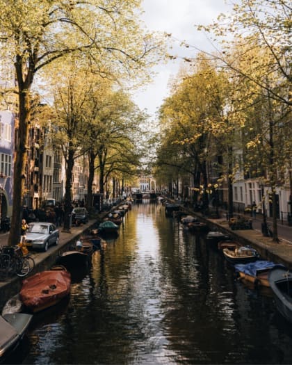 My city: Amsterdam | Boats sit along the canal with green trees reflecting in the water.