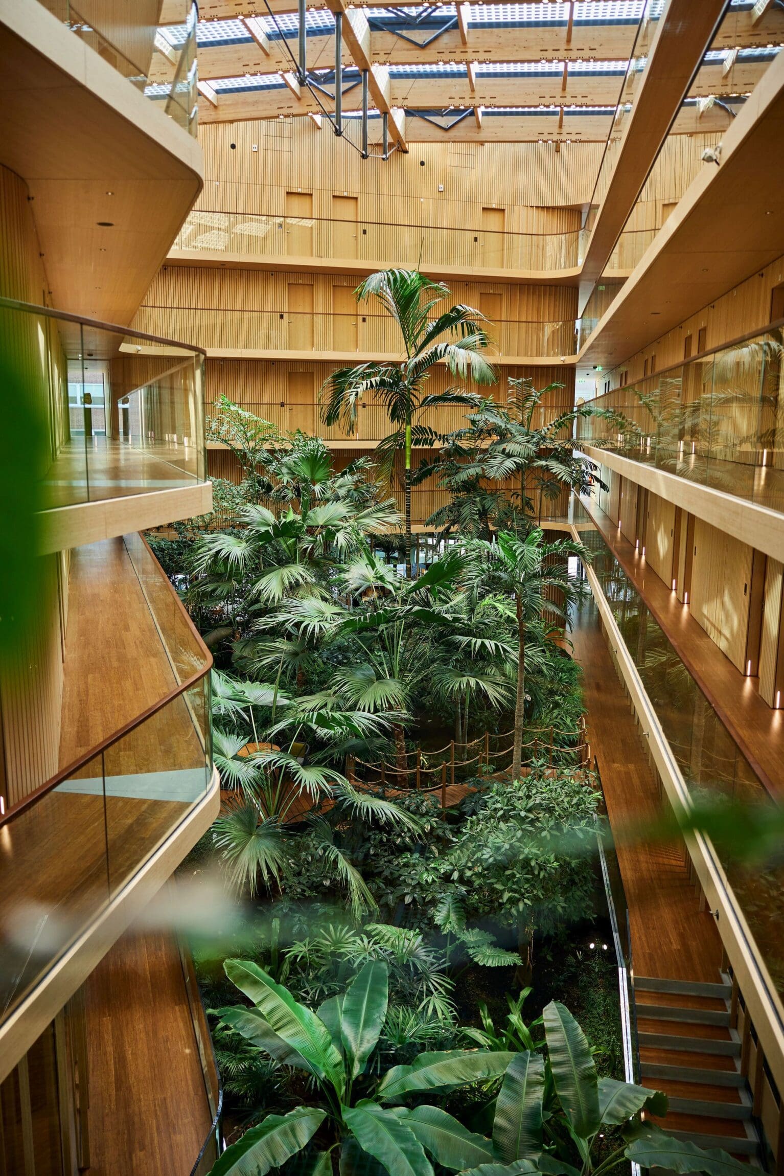The best hotels in Amsterdam | This wood panelled hotel has a large array of plants growing through the entire building.