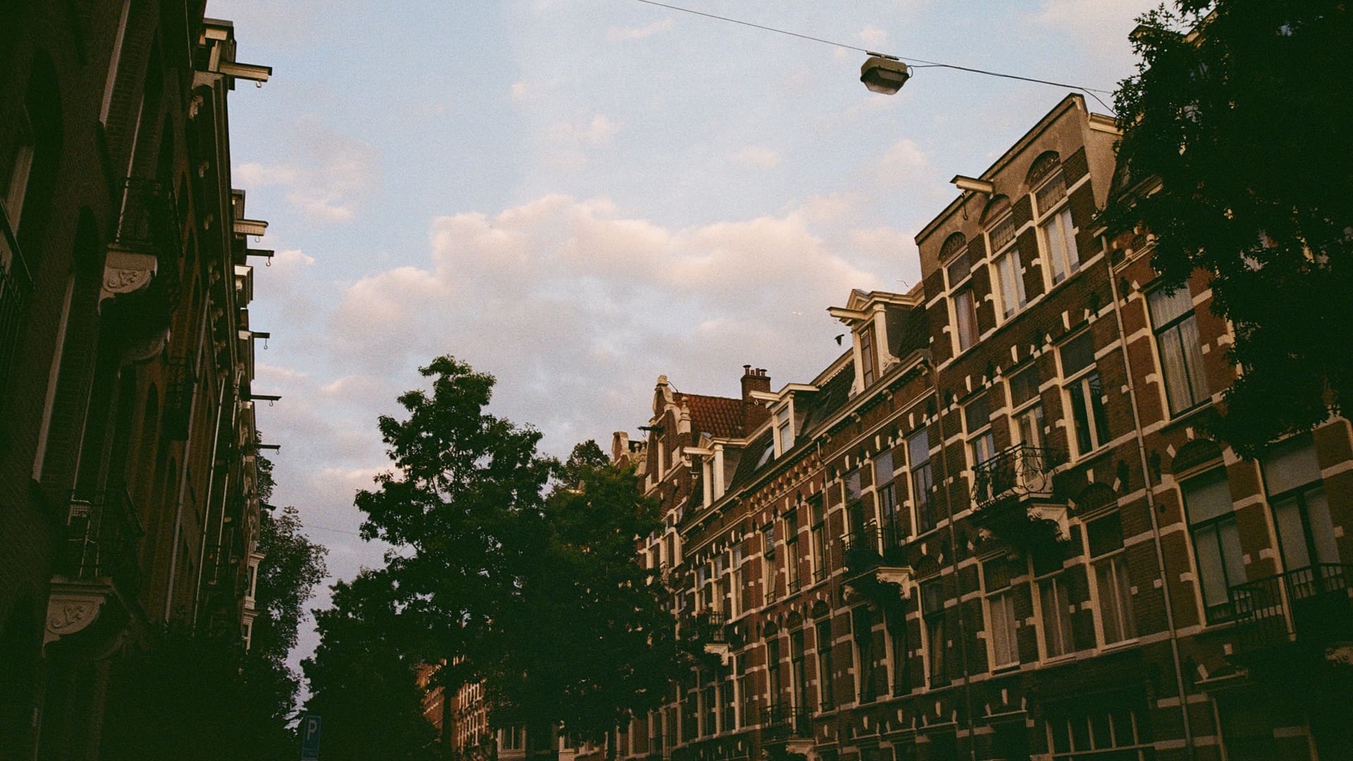 Amsterdam city guide | a traditional streetscape in Amsterdam, flanked by trees