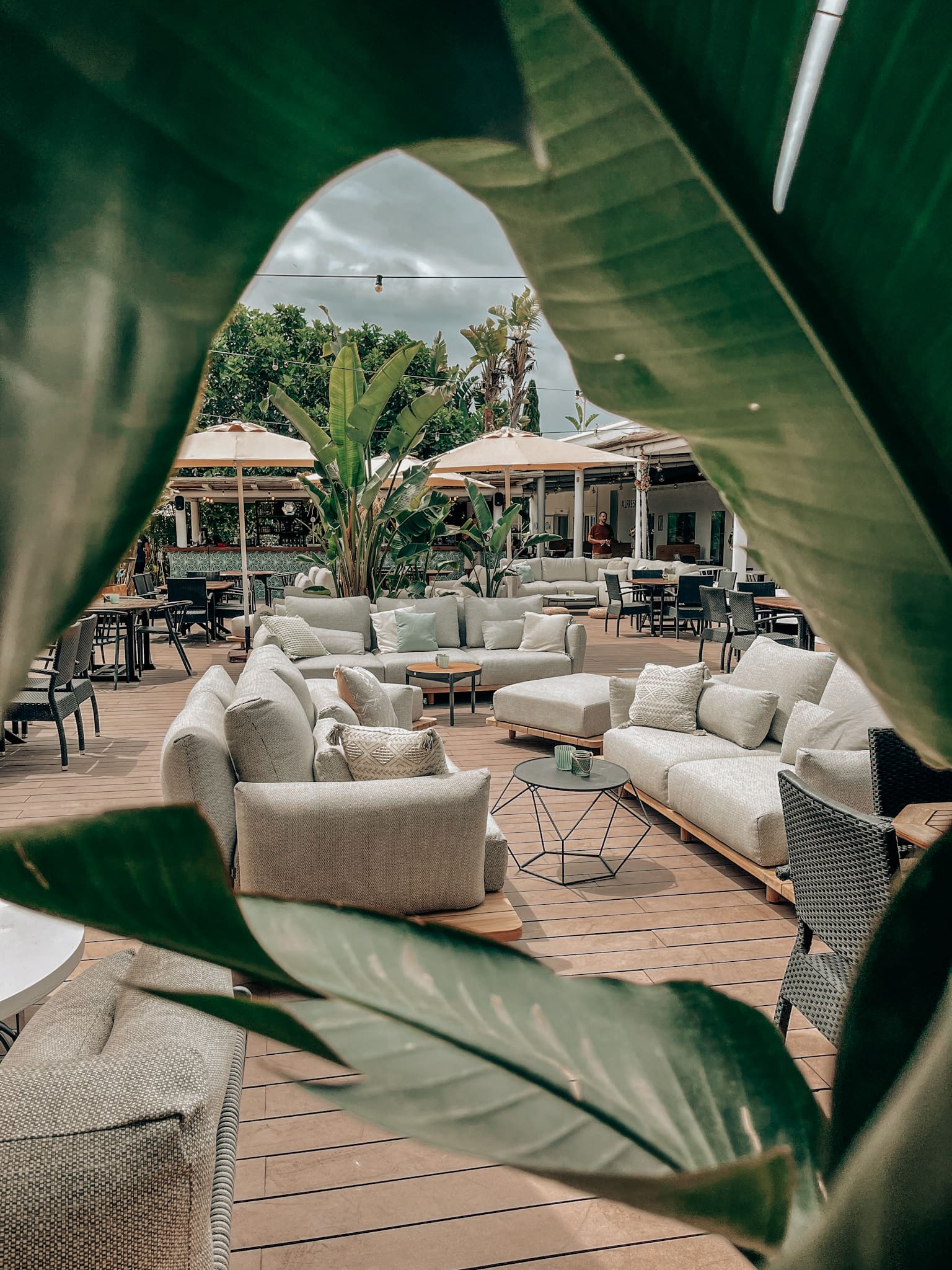The rise of the Slomad | Tropical leaves reveal TheHUB, a co-working space in Ibiza
