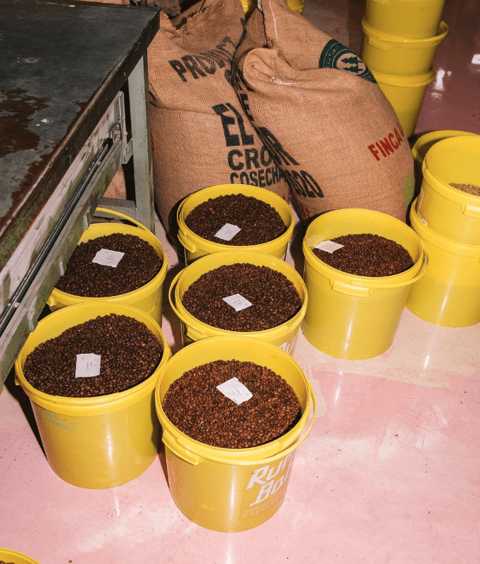 The best coffee in Amsterdam | buckets of coffee beans at Rum Baba Amsterdam