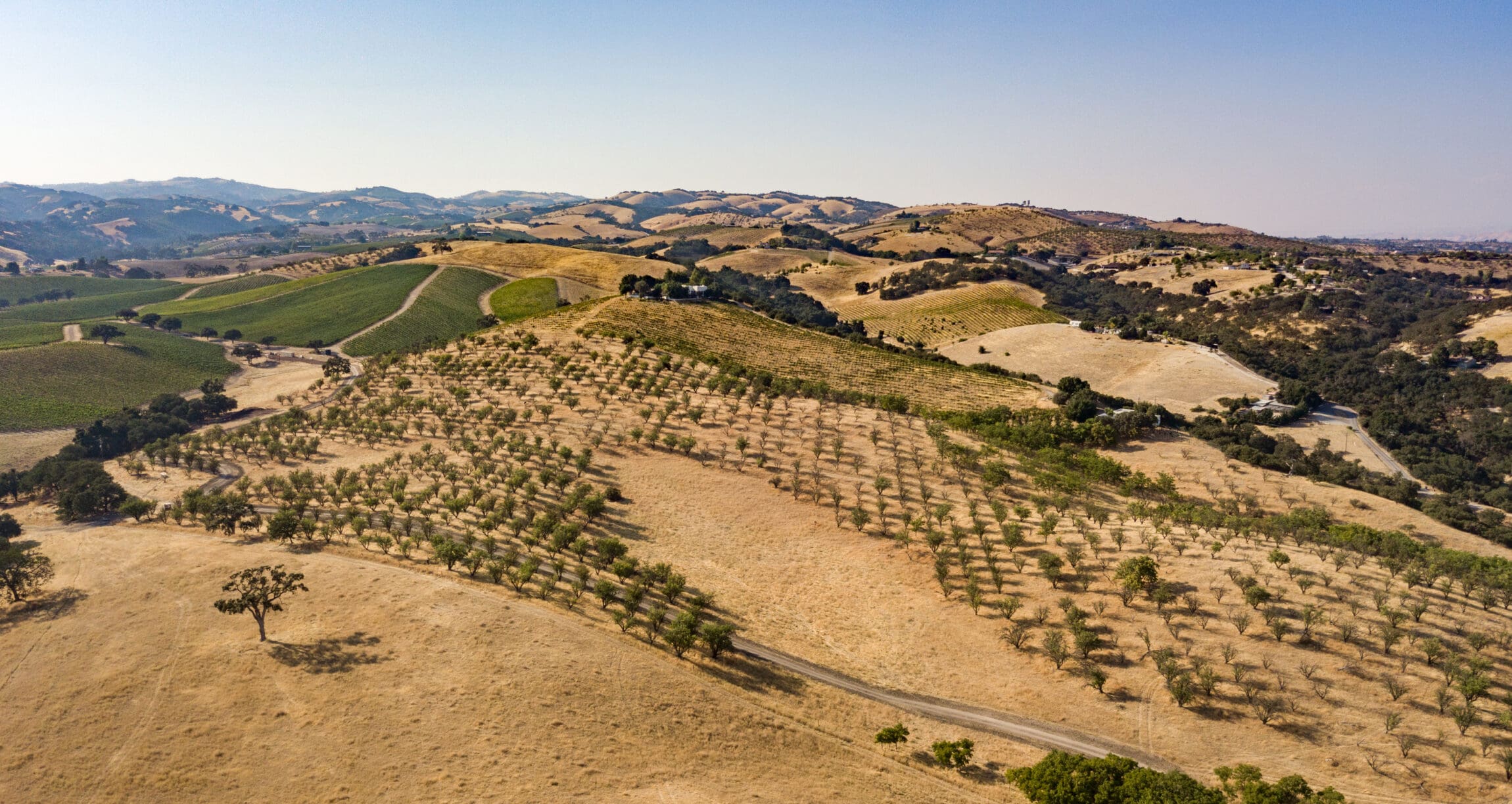 A guide to Paso Robles | sweeping views over a winery estate