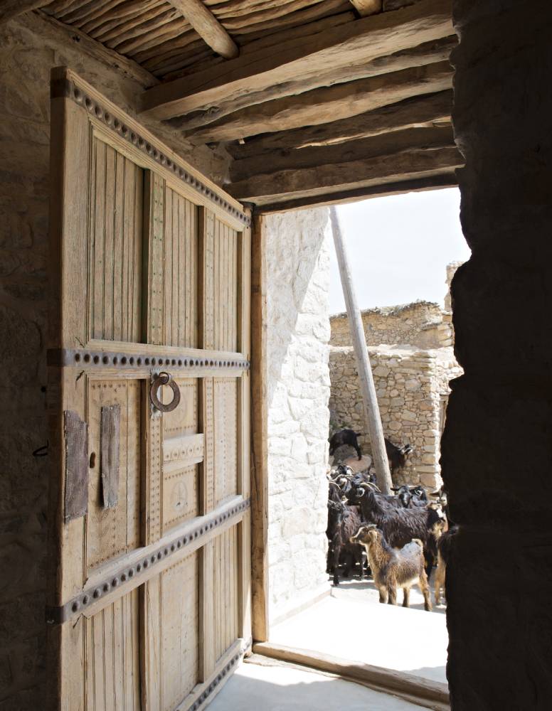 Regenerative Travel | goats approach an open door in Morocco