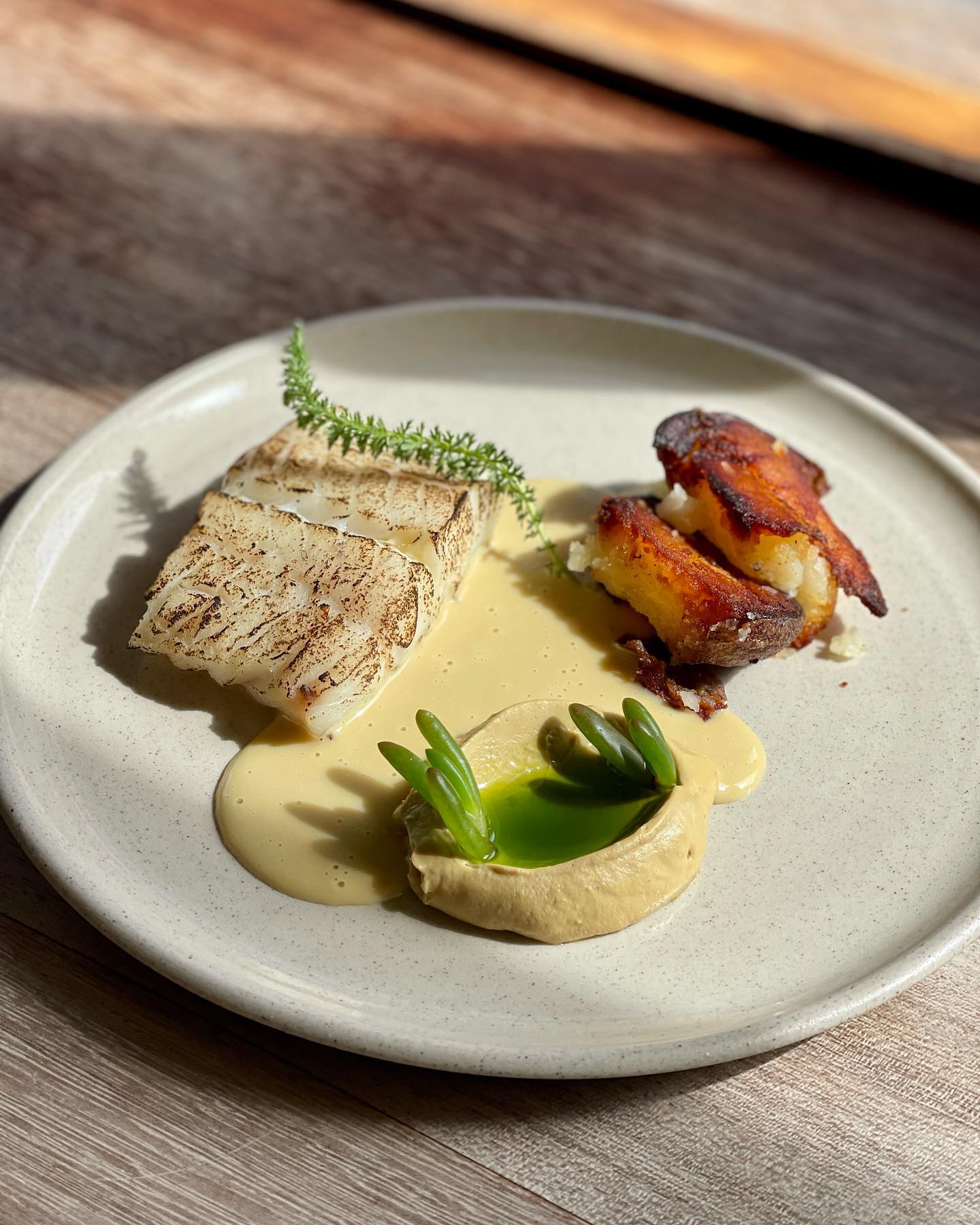 The best restaurants in Peckham | Baked pollock, duck fat Danube potato, foie gras, salty fingers and dill oil at Levan, Peckham