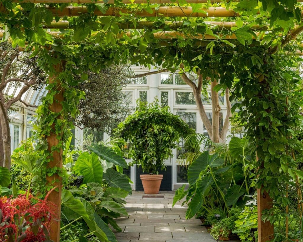 William Li's guide to New York | a canopy of greenery in New York Botanical Garden