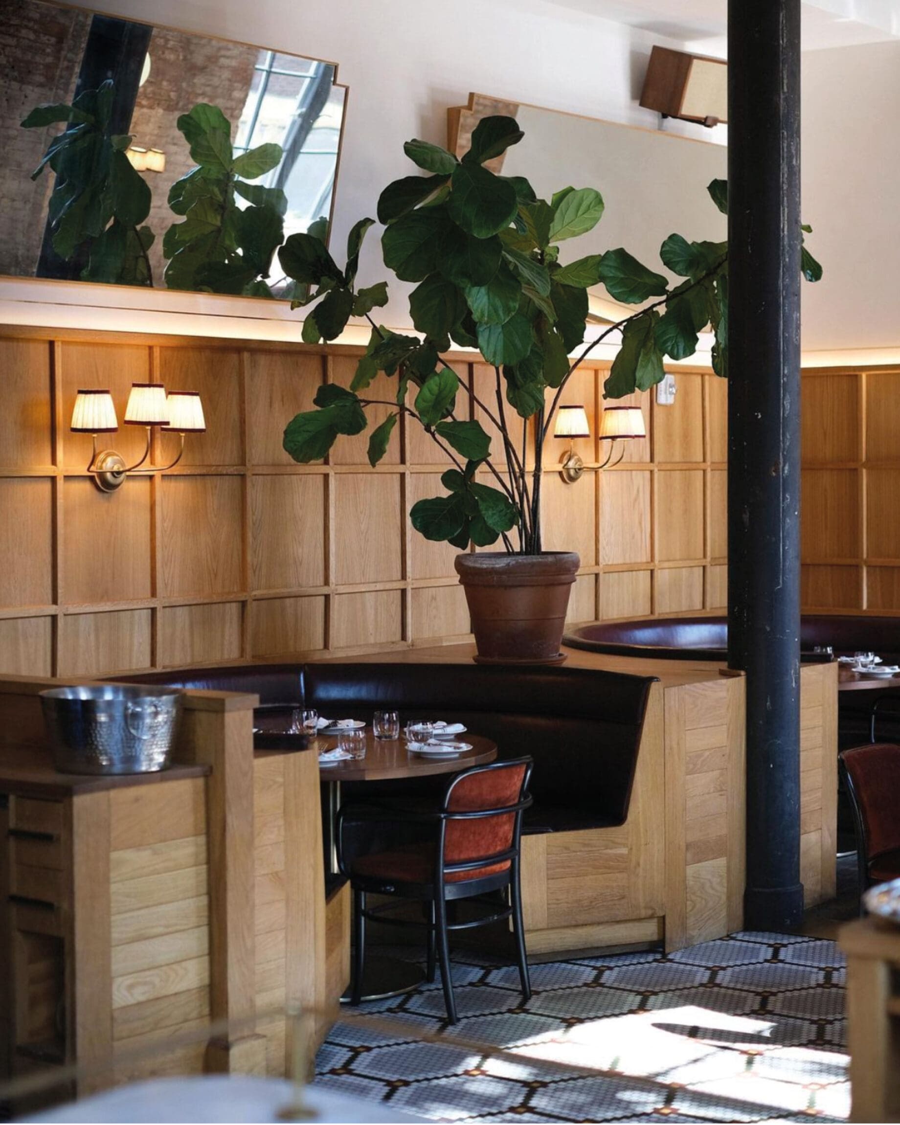 The best restaurants in Williamsburg, NY | An oversized plant at Le Crocodile at the Wythe Hotel
