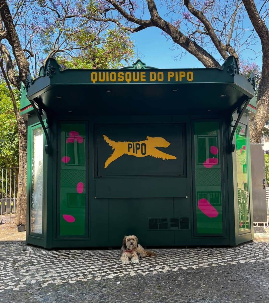 Pipo the dog, after whom Quiosque do Pipo in Lisbon is named