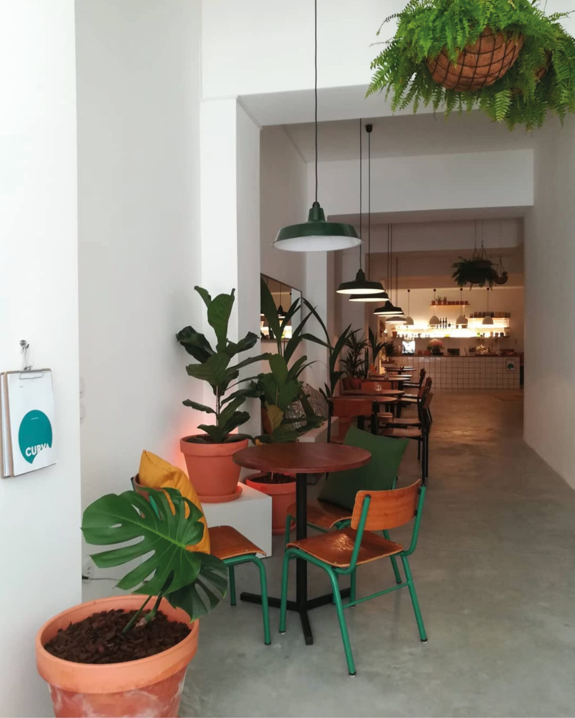 The best co-working spaces for remote working in Lisbon | indoor plants and a table at Curva